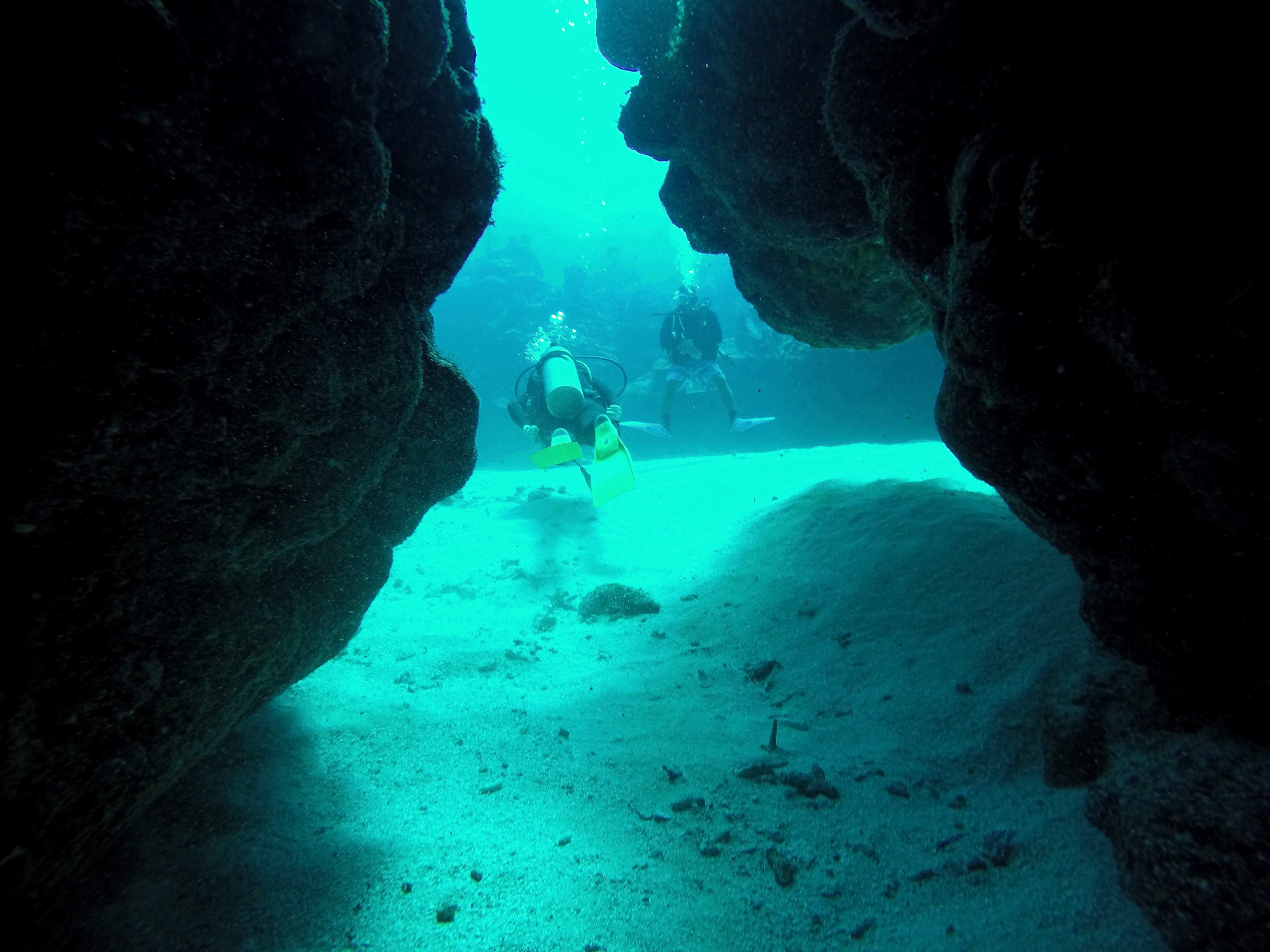 Dive B.jpg