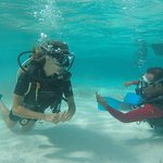 Diving.jpg
